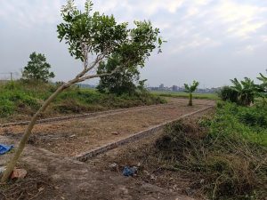 hình ảnh đất đấu giá bắc thượng