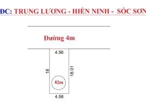 82trungluongl